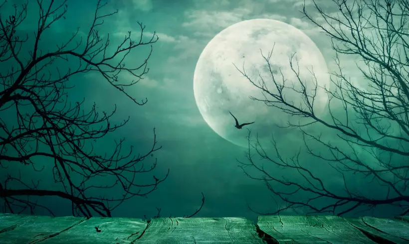 +15 Livros Curtos de Mistério Grátis! [PDF]