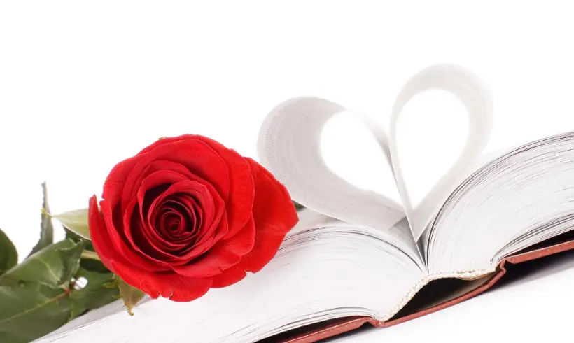 O que é um romance?