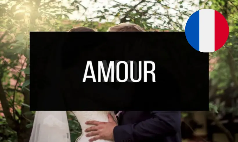 15 Livros de Amor em Francês Grátis! [PDF]