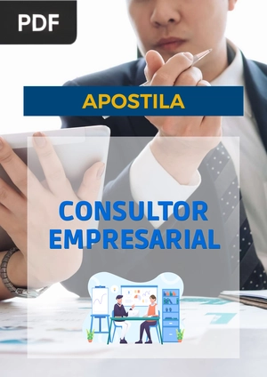 Consultor Empresarial