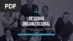 Desenho organizacional (Apresentação)