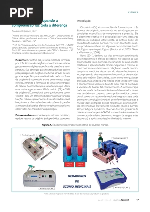 Ozonioterapa quando a compreensão faz toda a diferença (Artigo)