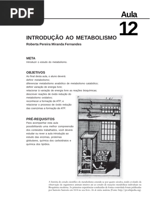 Introdução ao metabolismo