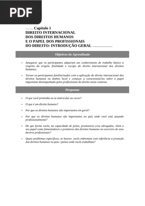 Direito Internacional dos Direitos Humanos e o papel dos profissionais do direito: introdução geral
