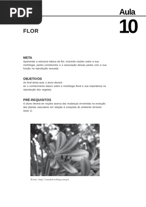 Morfologia e Anatomia Vegetal
 - Flor