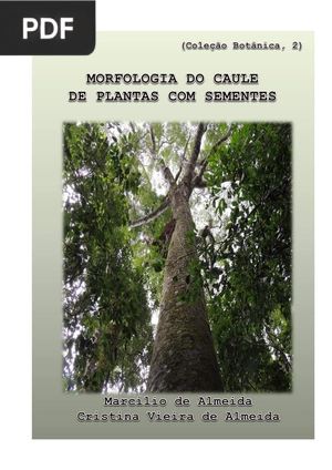 Morfologia do caule de plantas com sementes - Livro 2