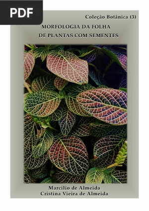 Morfologia da folha de plantas com sementes - Livro 3