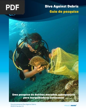 Dive Against Debris - Guia de pesquisa