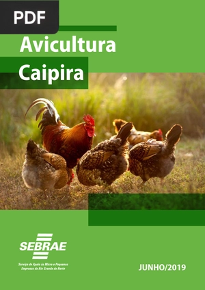 Avicultura Caipira