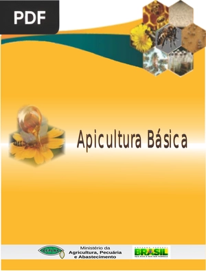 Apicultura Básica