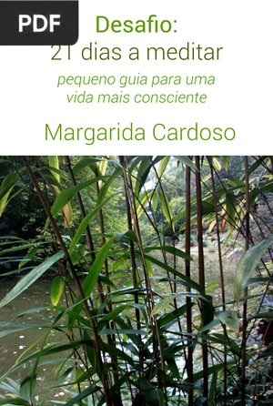 21 dias a meditar