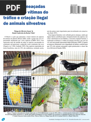 Espécies ameaçadas de extinção vítimas do tráfico e criação ilegal de animais silvestres (Artigo)