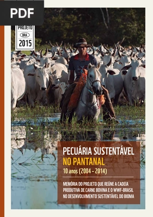 Pecuária Sustentável No Pantanal