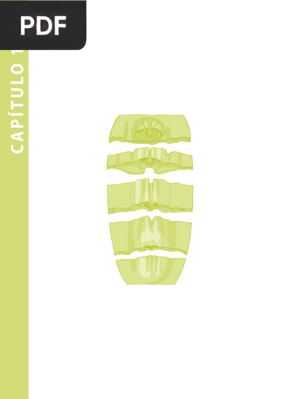 Animais considerados como modelos de estudo na Embriologia e Biologia do Desenvolvimento