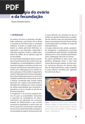 Fisiologia do ovário e da fecundação