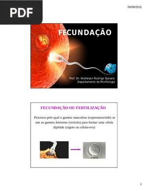 Fecundação