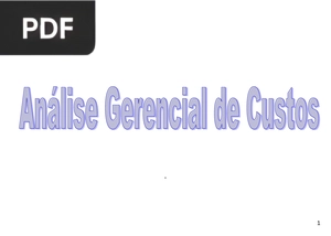 Análise Gerencial de Custos (Apresetação)