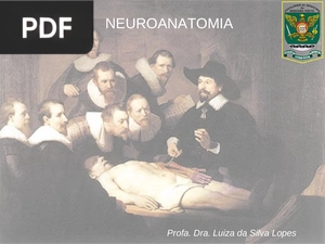 Neuroanatomia (Apresentação)
