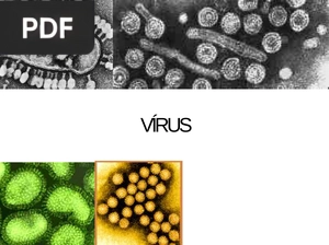 Vírus (Apresentação)