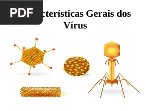 Características Gerais dos Vírus (Apresentação)