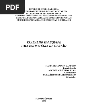 Trabalho em equipe uma estatégia de gestão
