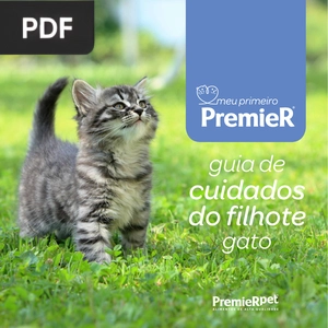 Guia de gato cuidados do filhote