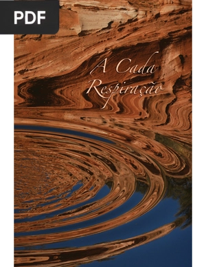 A Cada Respiração - Um Guia de Meditação