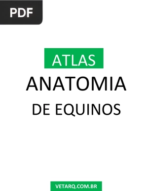 Anatomia de Equinos