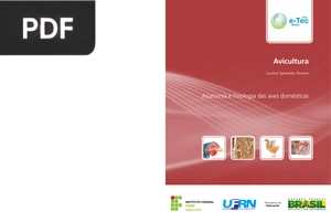 Anatomia e fisiologia das aves domésticas