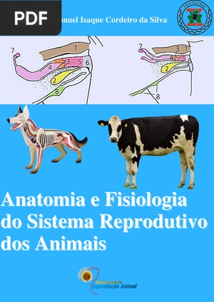 Anatomia e Fisiologia do Sistema Reprodutivo dos Animais
