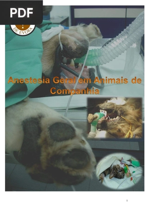 Anestesia Geral em Animais de Companhia