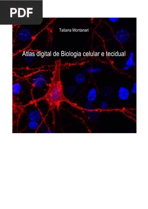 Atlas digital de Biologia celular e tecidual