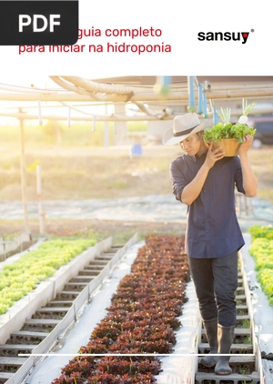 Confira o guia completo para iniciar na hidroponia