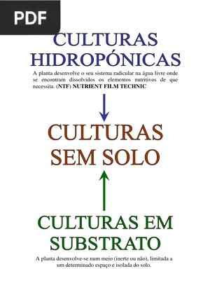 Culturas Hidropónicas