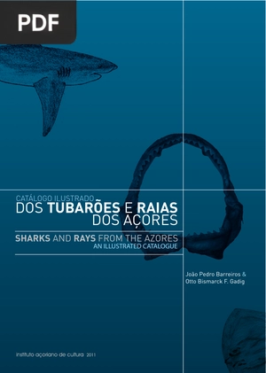 Dos tubarões e raias dos açores