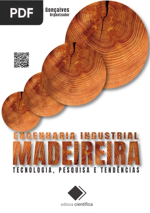 Engenharia Industrial Madeireira