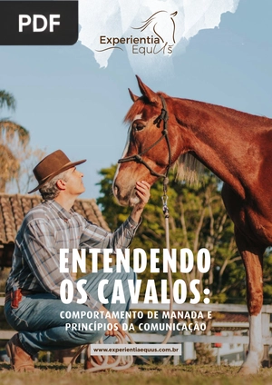 Entendendo os Cavalos