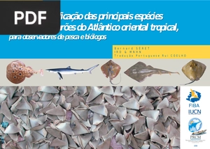 Guia de identificação das principais espécies de raias e tubarões do Atlântico oriental tropical, para observadores de pesca e biólogos
