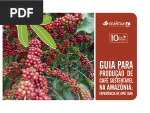 Guia para produção de café sustentável na amazônia: experiência de apuí (AM)