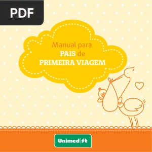 Manual para pais de primeira viagem