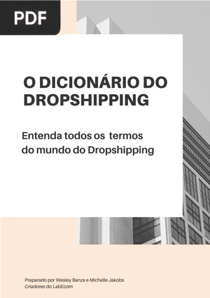 O Dicionário Do Dropshipping