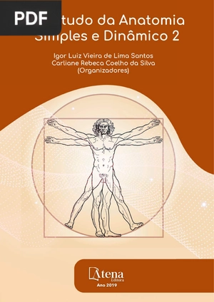 O Estudo de Anatomia Simples e Dinamico