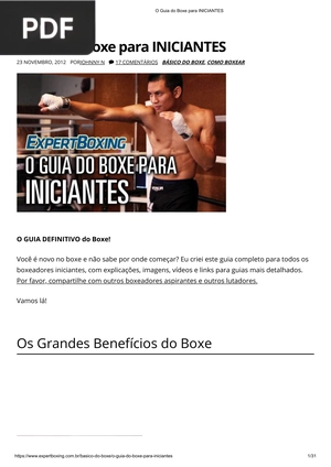 O Guia Do Boxe para Iniciantes