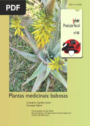 Plantas medicinais - Babosas