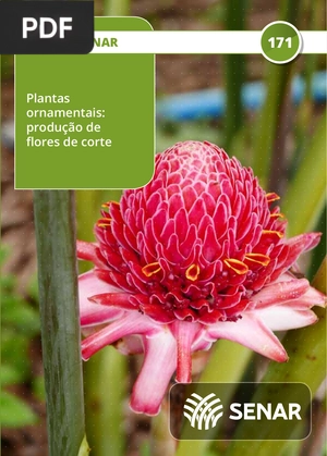 Plantas ornamentais: produção de fl ores de corte