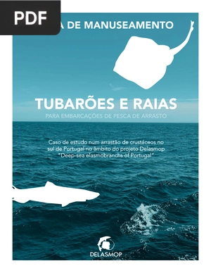 Tubarões e Raias - Para Embarcações de Pesca de Arrasto