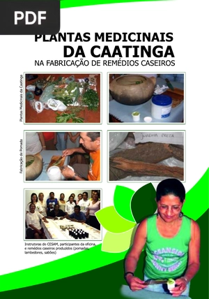 Uso de Plantas Medicinais da Caatinga